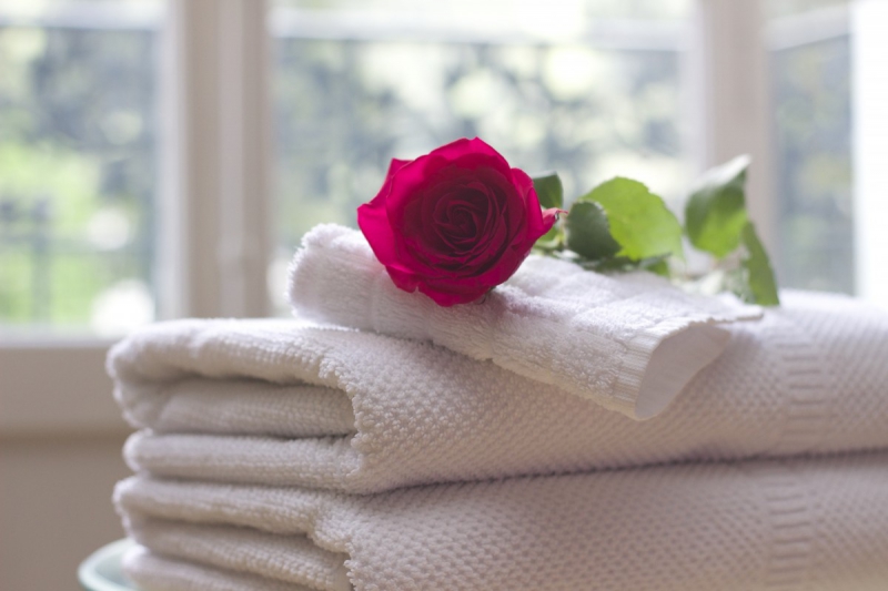 chambre-hote-LA VERDIERE-min_towel_rose_clean_care_salon_spa_white_bath-731641